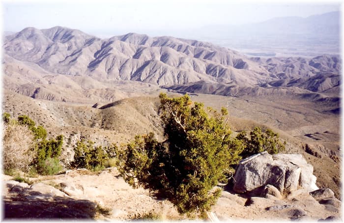 Key's View in Joshua Tree National Park - Elevation here is at 5,185 feet. Mexico is in distant background.