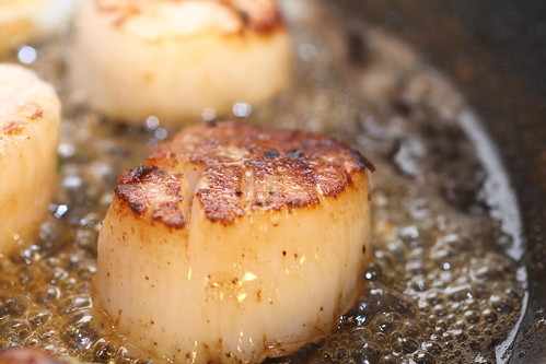 Genuine scallop or, perhaps, something more mundane?