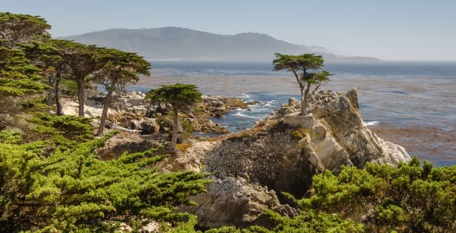 One of the most well-known scenic drives in the world is 17-Mile Road. It goes through the guarded neighborhood.