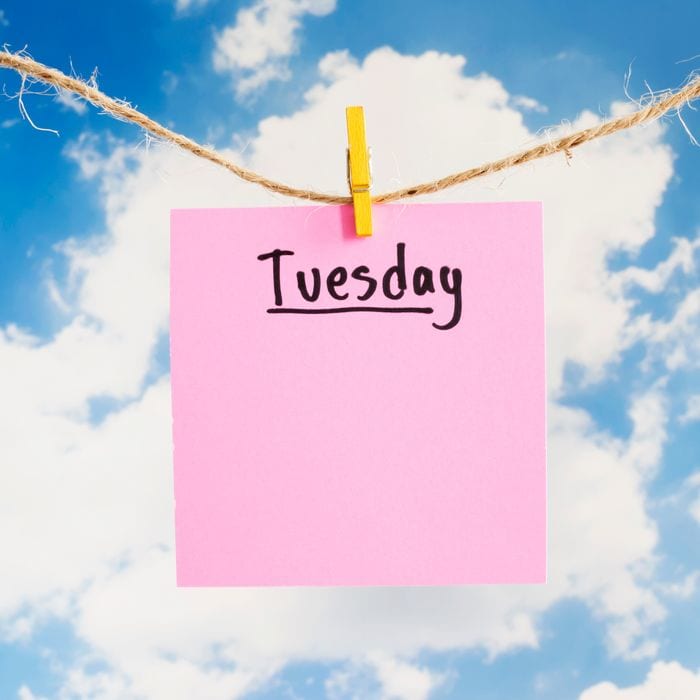 Every Day Is Tuesday Calendar