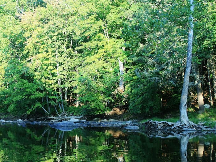 I don't recall the name of this river, but it sure was pleasant to walk along it as evening fell.