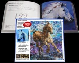 ,This little book makes a great gift, leave it as a book or take the perforated pages and make your own Mural...this can be a great way to make money for a fundraiser event. Each picture can be sponsored for a cost and added to the Mural. Contact me