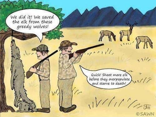 It's a bit odd to brag about "saving elk lives" when shooting wolves, but then need to shoot elk yourself to prevent overpopulation.