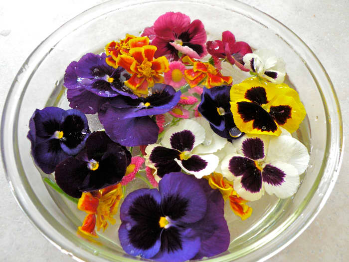 Cut flowers and place in shallow bowl of water to wash and hydrate (this will make blooms last longer).