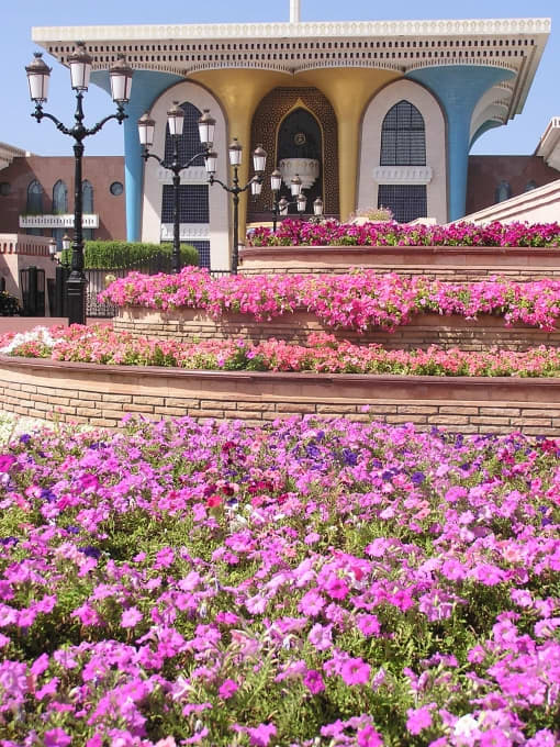 Beautiful Gardens by the Sultan's Palace in Muscat http://fabularz.wordpress.com/2009/04/17/sand-in-your-pita-sand-in-your-ear/