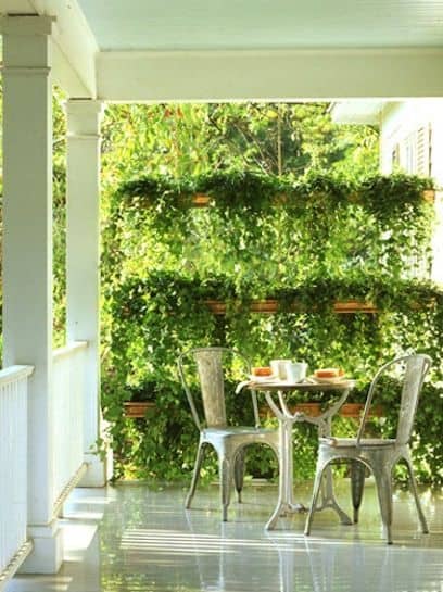 Keep fabulous plants in one place on your wall. This DIY wood hanger is streamlined and simple to make.