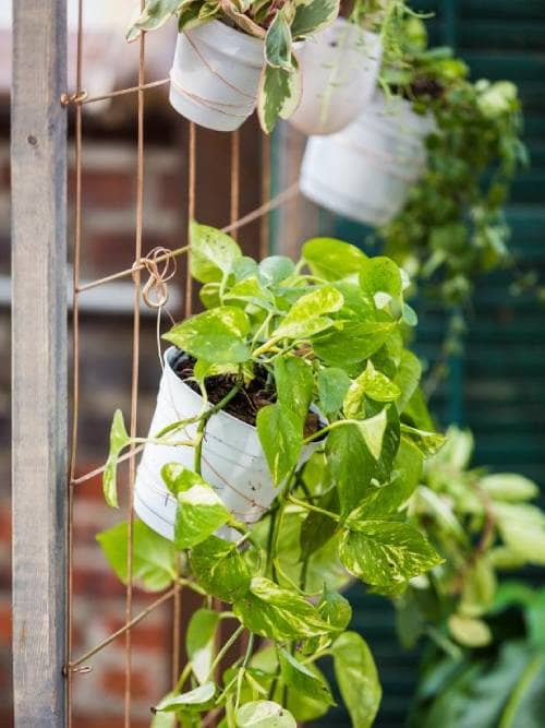 Make a large trellis to showcase hanging plants. This DIY container garden can be customized to fit into any garden.