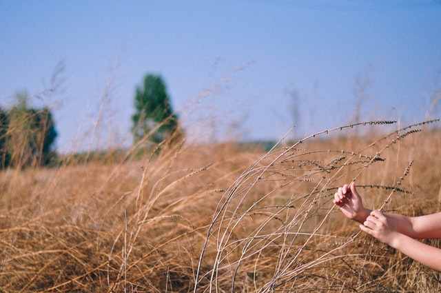 Digging Deeper: Ruth Chapter 2 Bible Study - HubPages