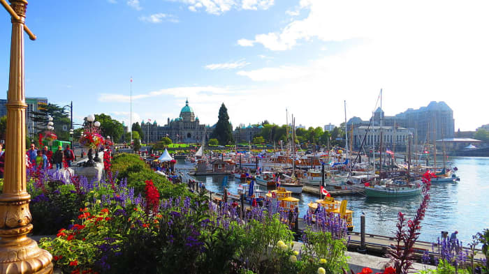 The British Columbia Parliament Buildings along the Inner Harbor Causeway in Beautiful Downtown Victoria BC