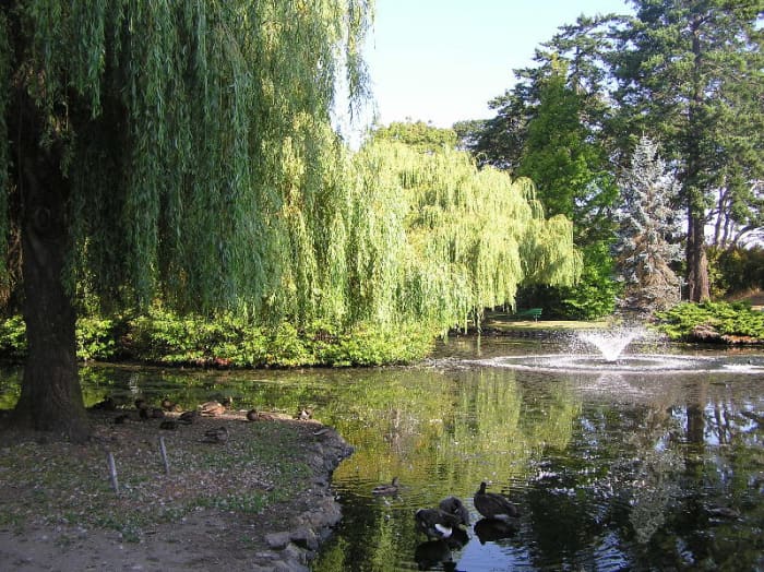 Beacon Hill Park