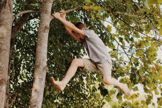 Climbing Trees Help to Build Confidence to Face Life's Challenges ...