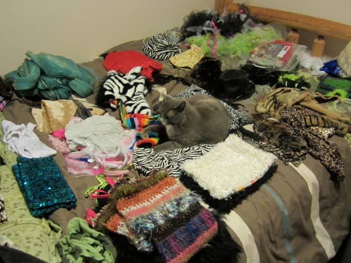 Deciding which costumes to bring for what night. And no, no actual kitties are allowed at Burning Man, no matter how they try to blend in with the faux fur.