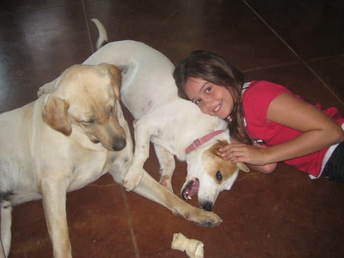 My daughter with our current dogs, Charlie and Jessi. We put these dogs on Program when they were puppies, and they've never had fleas. Our dogs are flea-free, pesticide-free and safe to snuggle with!