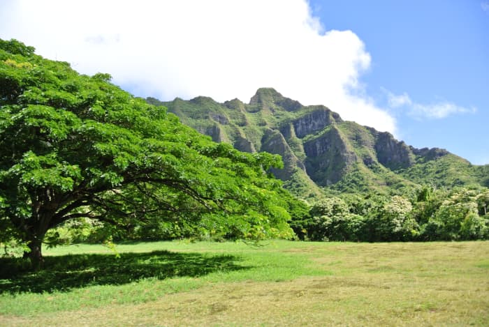 the-best-places-to-eat-in-hawaii-honolulu-oahu-waikiki-beach-hubpages