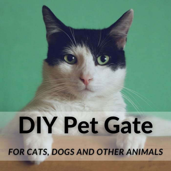 Below, you will find directions for a freestanding cat/dog gate you can make of any height, using only scissors (and possibly a hammer if needed) as far as tools go.