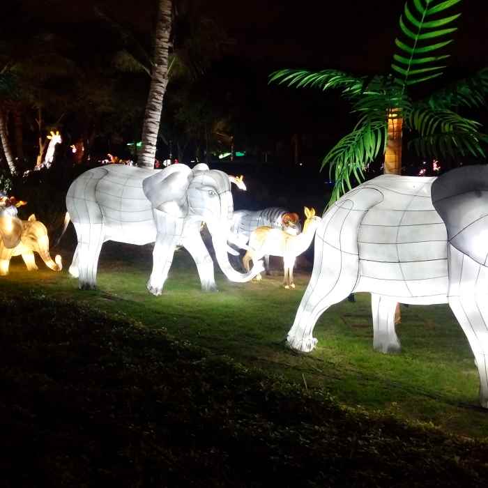 The Garden of Lights in Dubai HubPages