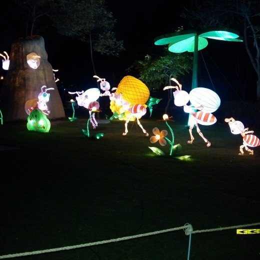 The Garden of Lights in Dubai HubPages