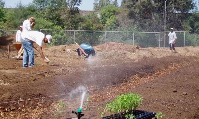 Water helps soften the soil prior to planting. It also softens protective seed covers, so the little sprouts inside the seed can push through and grow.