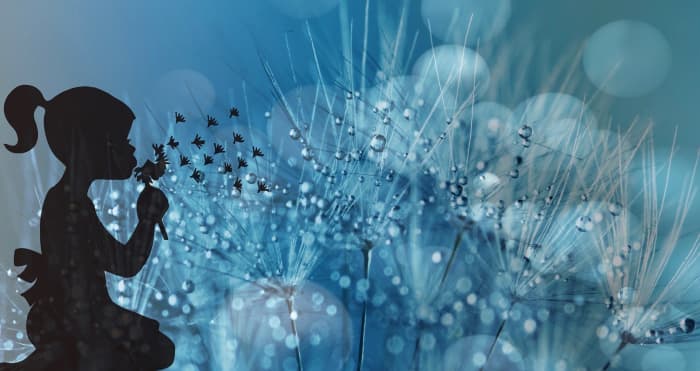 Water and plants––plants need water just as much as humans do . . . and for many of the same reasons.