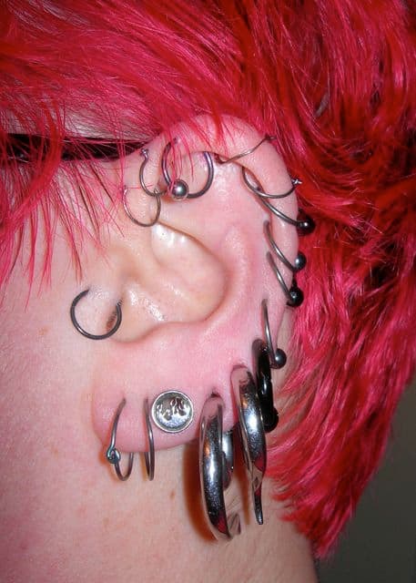Many earrings featuring 2g, 4g and 6g piercings, plus lots of captive bead rings.