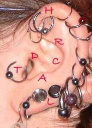 Ear piercing locations can be almost anywhere on the ear these days. H = Helix, R = Rook, C = Conch, D = Daith, T = Tragus, A = Antitragus, L = Lobe.