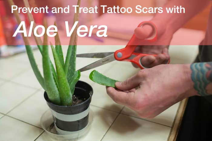 When the skin under a new tattoo becomes raised, there may be a scar developing. Aloe vera gel, applied a few times a day, can help flatten and remove the scar altogether.