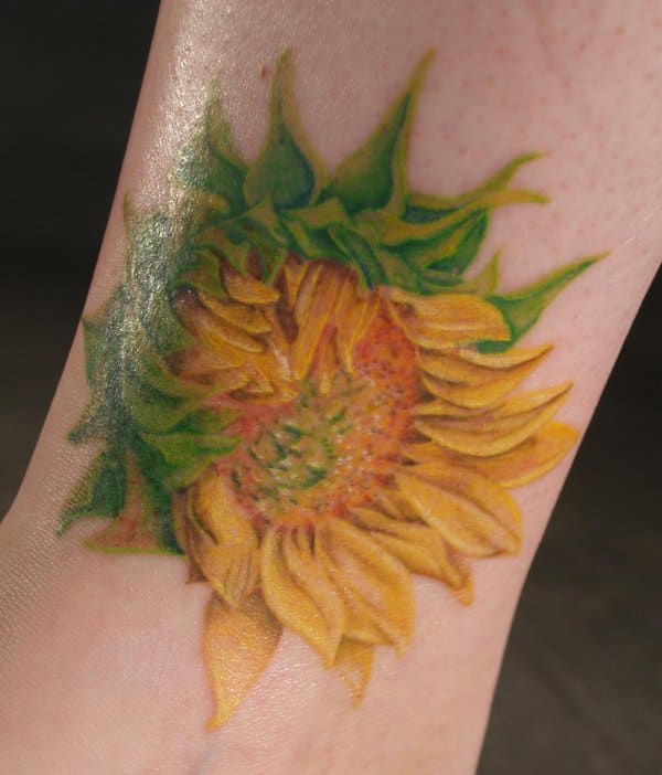 This daisy looks like it could have been painted by a classical impressionist artist.
