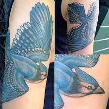 bluejay-tattoos-and-designs-bluejay-tattoo-meanings-and-ideas-bluejay-tattoo-pictures