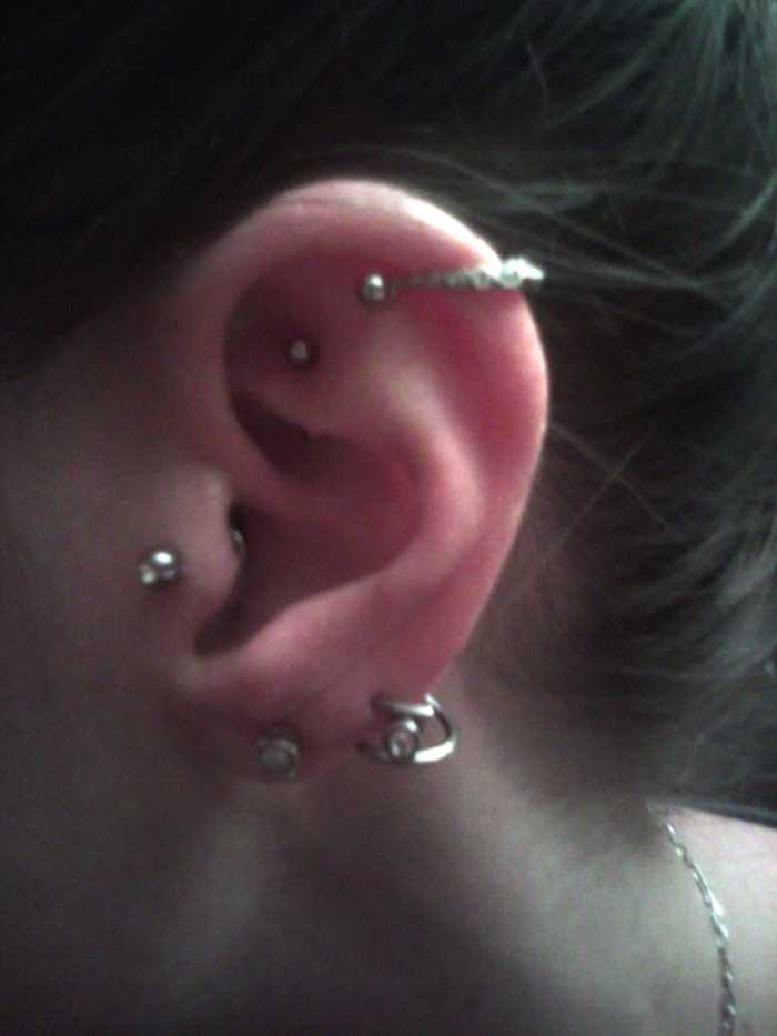Ear Piercing Types and Styles TatRing