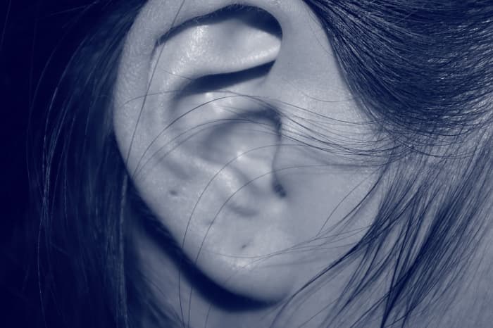 Earlobe, tragus, daith, piercing industrial curar tempos.