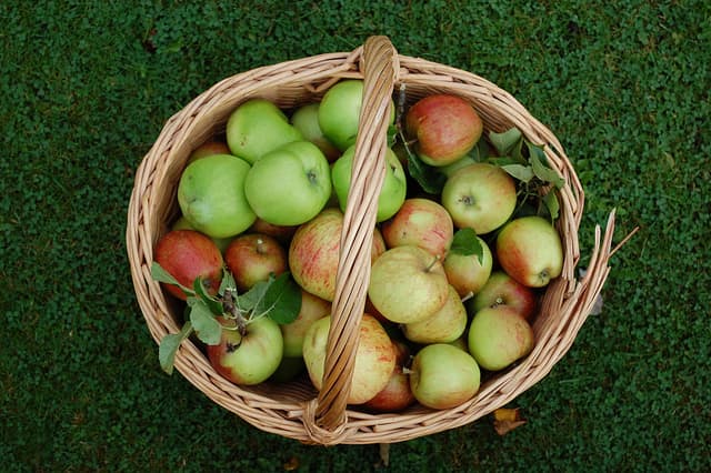 Four Harvest Recipes for Celebrating Mabon - Delishably