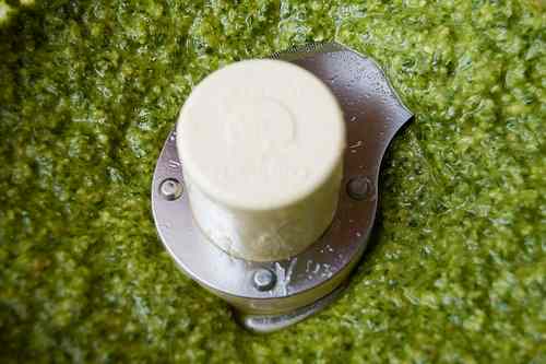 5-Minute Green Onion and Sunflower Seed Pesto Sauce