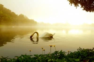 I believe that once you have felt the presence of your loved one or loved ones, there can be no mistake that they really are with you in spirit.