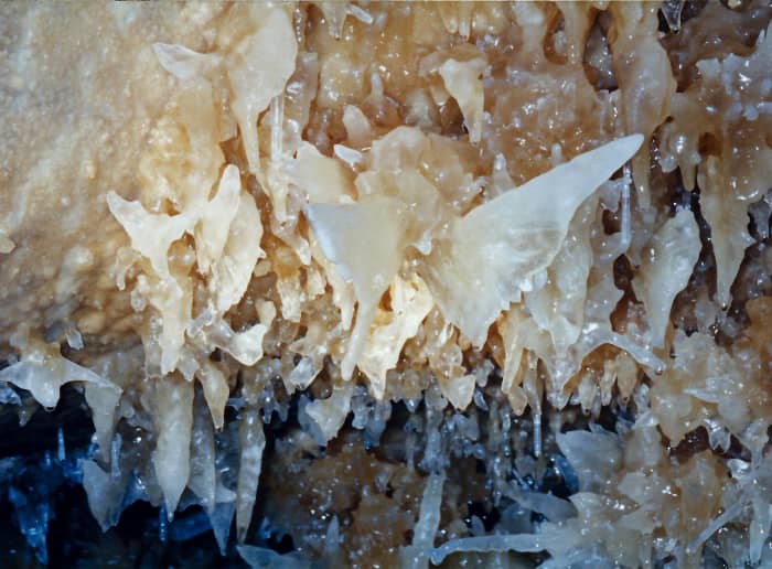Do you see the butterfly wings? This is called the crystalline "Butterfly" at the Caverns of Sonora.
