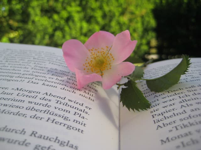 A large part of Wicca is personal growth. Wiccan-specific resources aren't the only resources that help you do that.