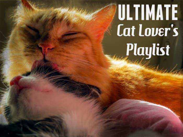Here's the ultimate playlist of songs for people who love cats.