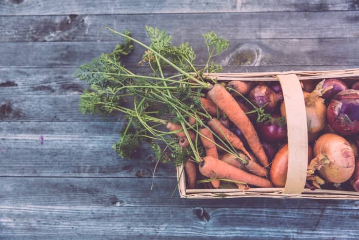 This article will break down how companion planting works and how you can use it to improve your garden.