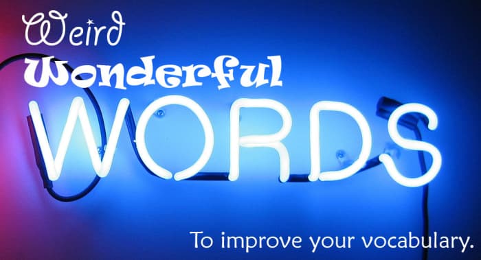 100 Weird Words And Cool Definitions Owlcation