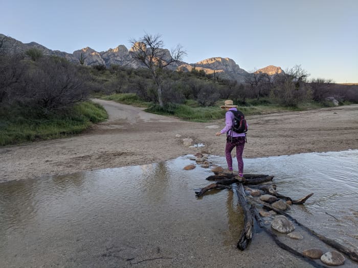 My wife making her way on a makeshift bridge across Sutherland Wash in Tucson Arizona's Catalina State Park