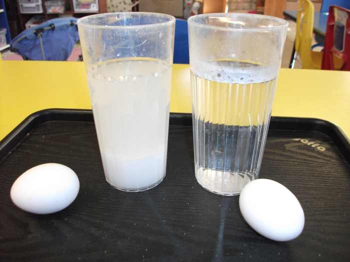 Egg flotation essay image