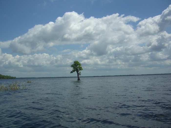 how-to-make-money-out-of-nothing