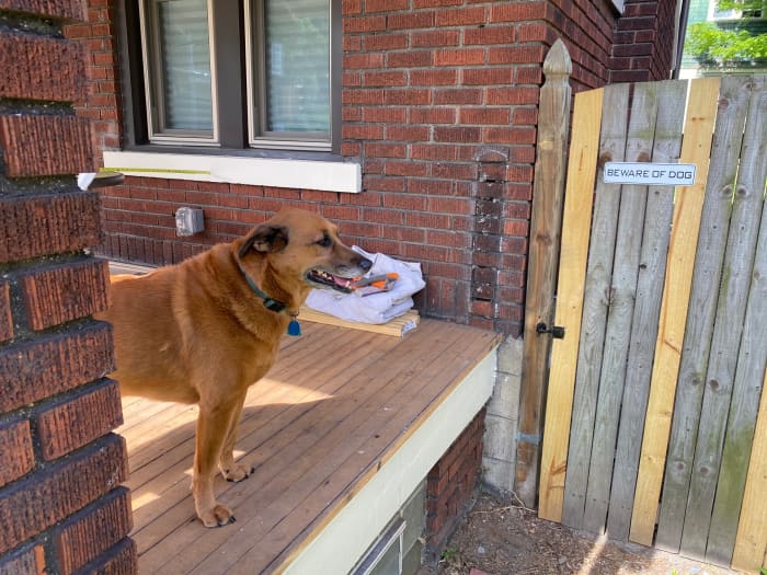 een veranda die een reling nodig heeft en 's werelds beste assistent: Ella het bruine Wonder