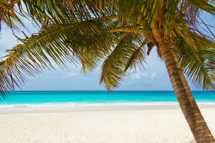 The Top 7 Little-Known Caribbean Island Vacation Destinations ...