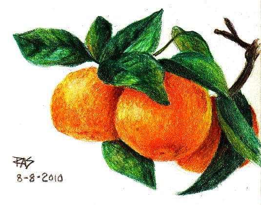 Tangerines, colored pencil drawing 4" x 5" by Robert A. Sloan