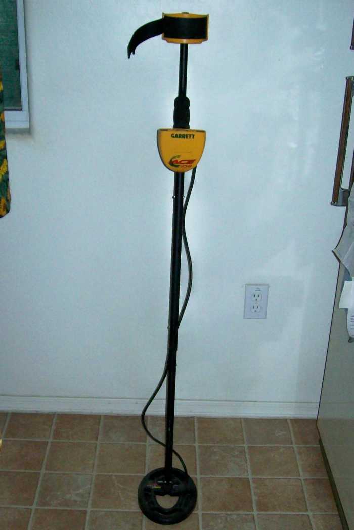 My ACE250 by Garrett - a good coin shooter for those beginning the hunt.