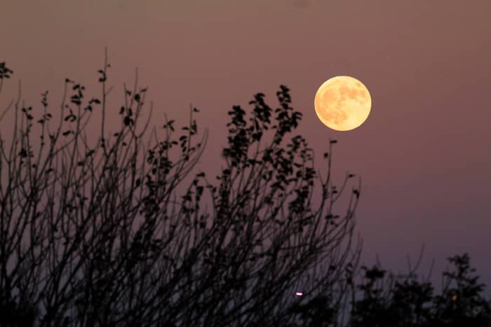 Celtic peoples used the lunar calendar. The Gaelic word for month is Mios relating to the moon's disk shape.