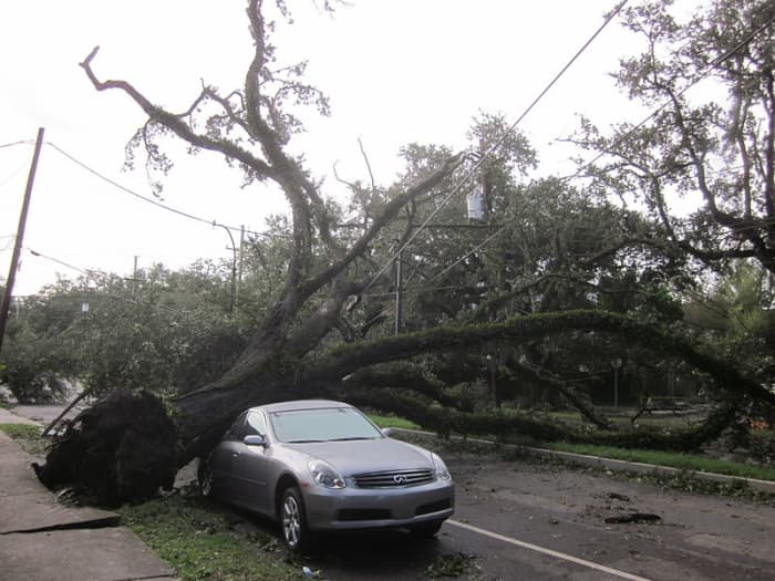 Hurricane Isaac deposited this tree on this car. Image courtesy "infrogmation" and Wikimedia Commons.