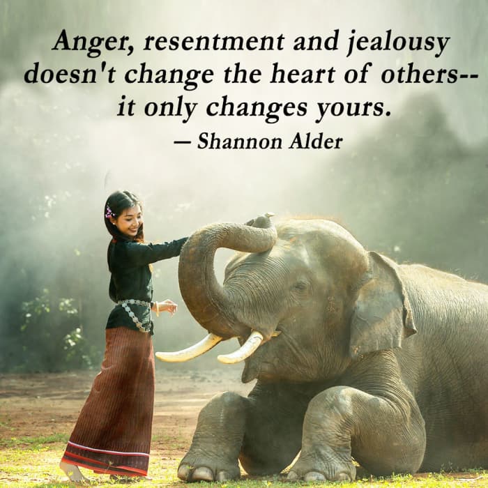 “Anger, resentment and jealousy doesn't change the heart of others-- it only changes yours.” ― Shannon Alder