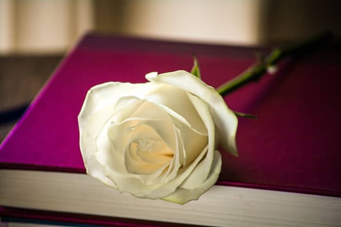 Here's what you need to know about the history and purpose of the Poet Laureate in the United Kingdom