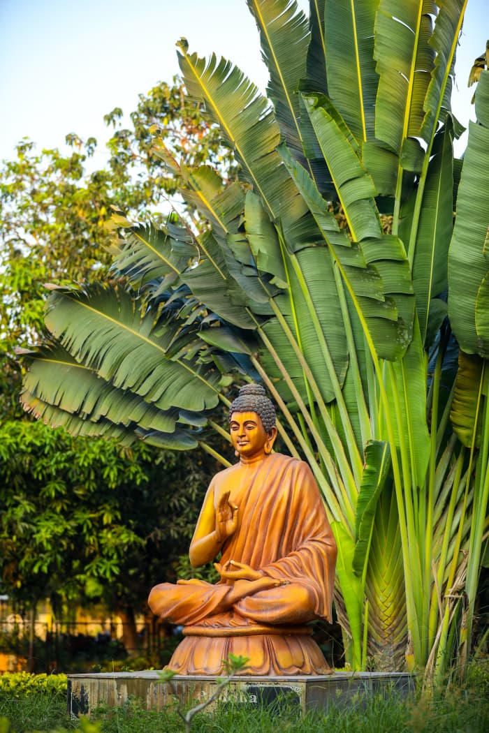 Zen in its essence is the art of seeing into the nature of one’s being, and it points the way from bondage to freedom. – D.T. Suzuki